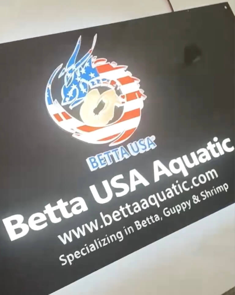 Betta USA Aquatic custom halo lit storefront sign display